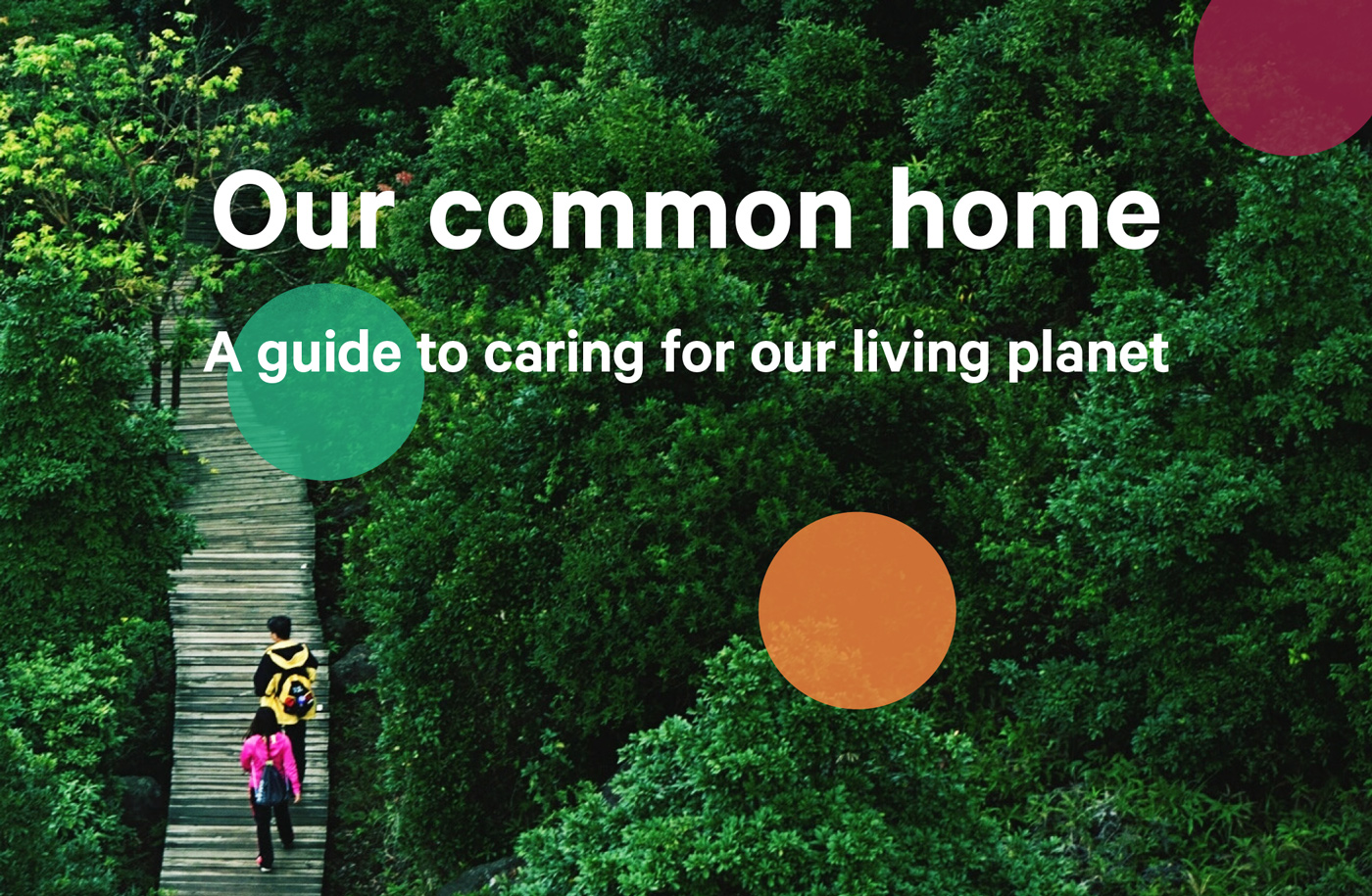 Our Common Home – Joy in Enough