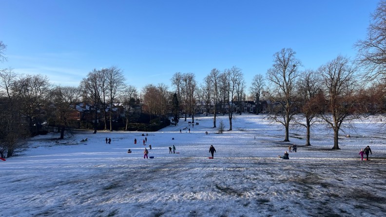 The Joy of Sledging!