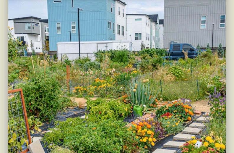 How to run projects that create bigger change